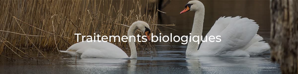 traitements-biologiques-min