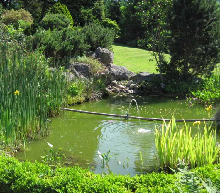 bassins et lacs décoratifs AIS Maroc