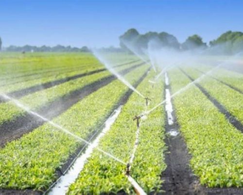 Maroc irrigation agricole